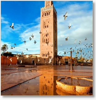 Half Day Guided Tour of Casablanca