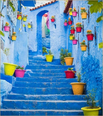 Private Day Tour to Chefchaouen