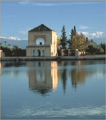 Private Day Tour to Marrakech Medina